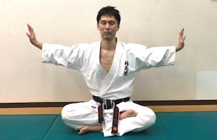 shukidokarate style