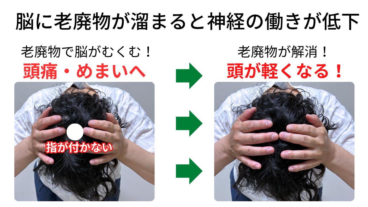 脳に老廃物が溜まると神経の働きが低下します。老廃物で脳がむくみ、頭痛・めまい・不眠へ。老廃物がしっかり処理されると頭がスッキリ軽くなります!